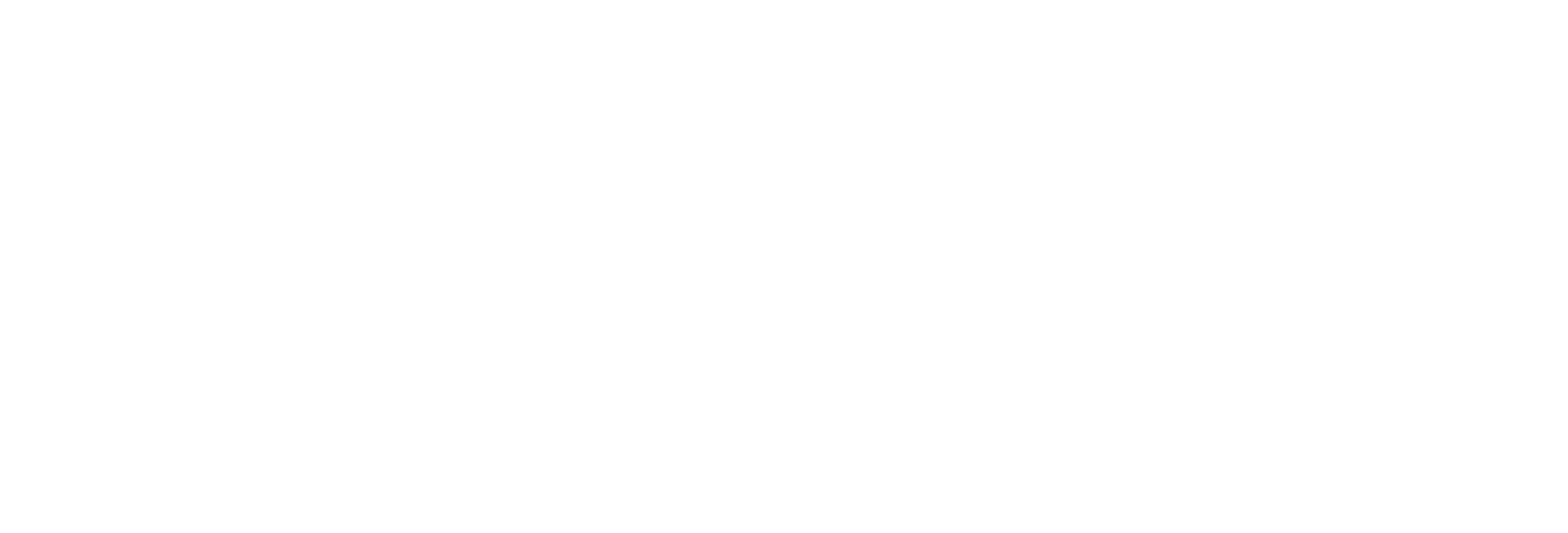 Invoisys_Novo