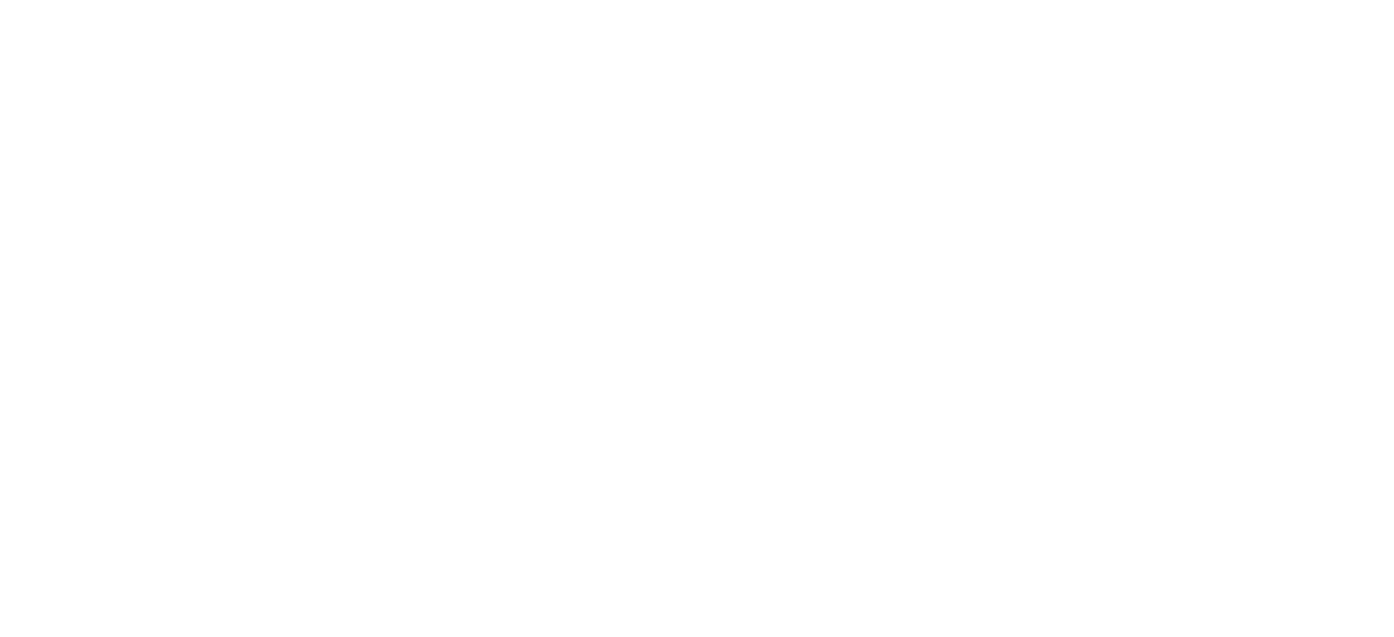 LKM NOVO