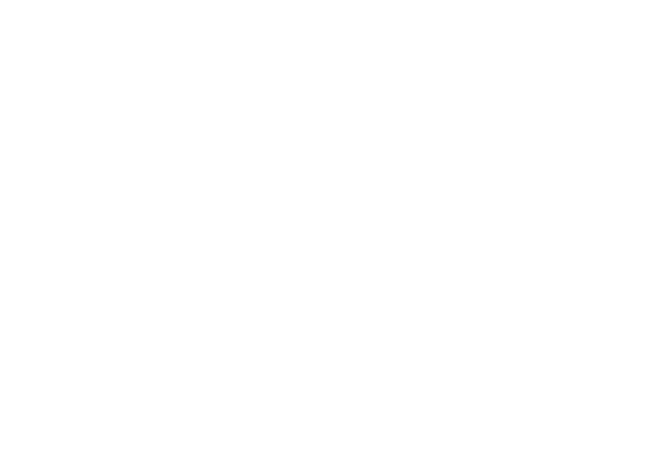 Solutio 10 anos V2