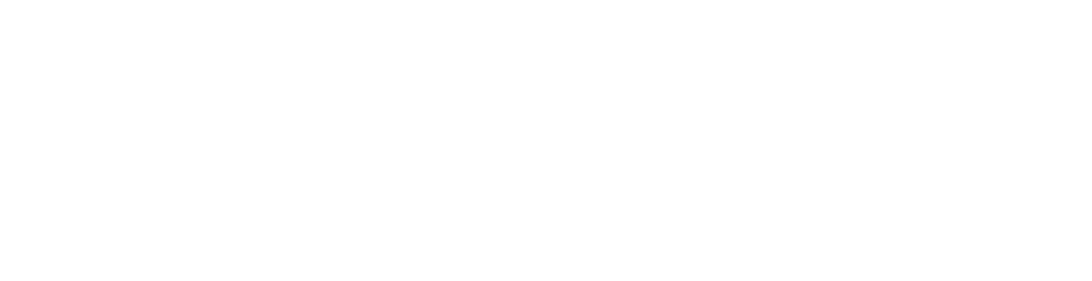 TS Solutio