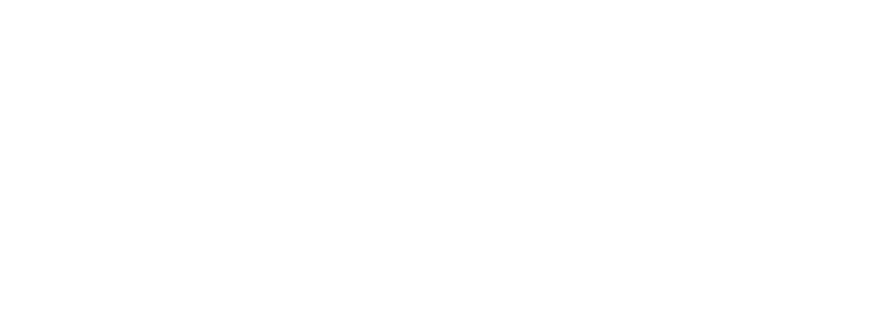 Tech Consulting